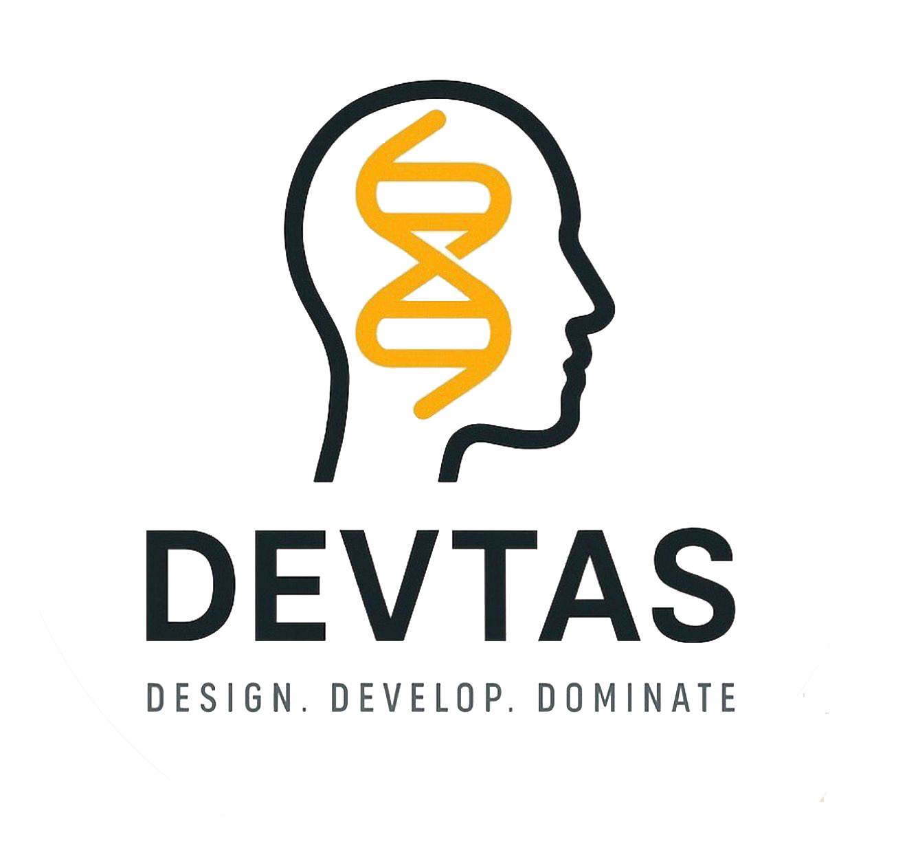 לוגו DEVTAS